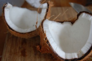 Cracked-open coconut. (Kimi’s, not mine).